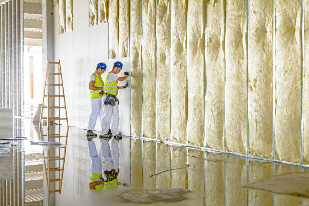Best DIY Insulation Kits and Guidance in Prichard, AL